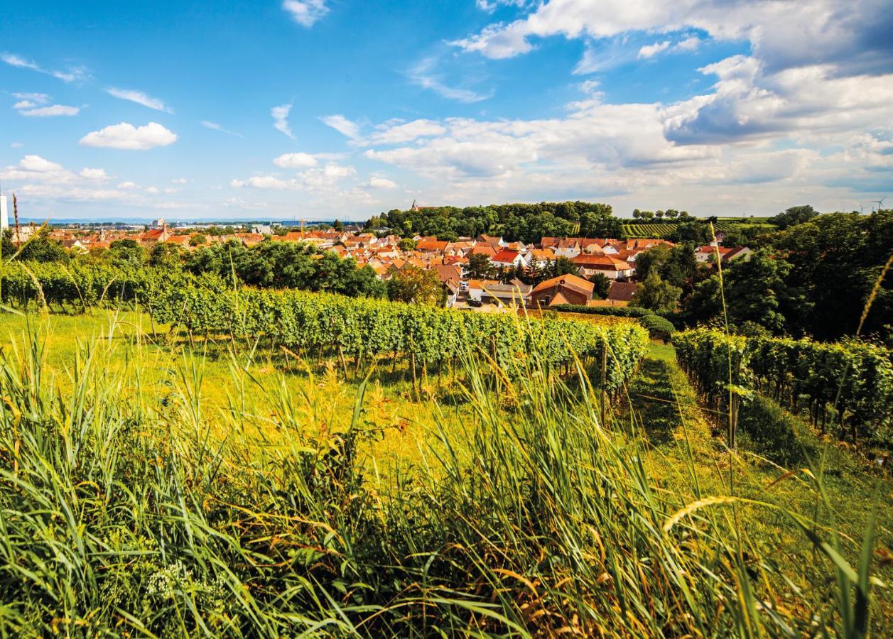 Gaestehaus Steinmuehle Osthofen Exteriör bild