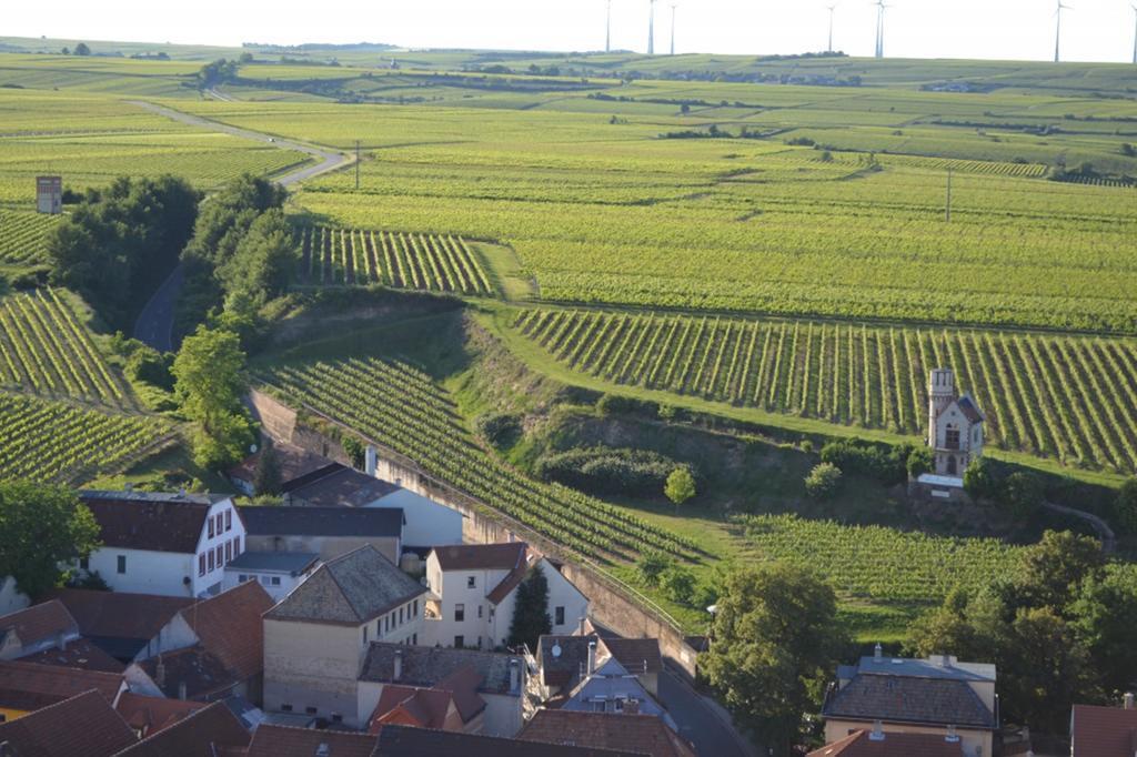 Gaestehaus Steinmuehle Osthofen Exteriör bild